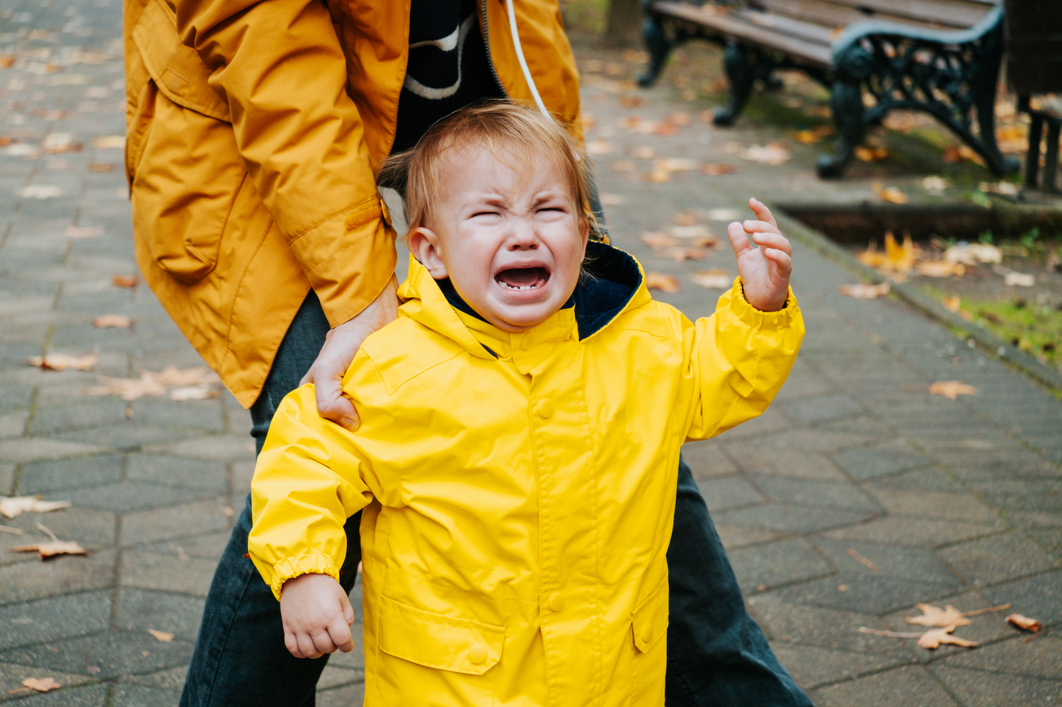 Birras na Infância - Como Gerir sem Perder a Calma